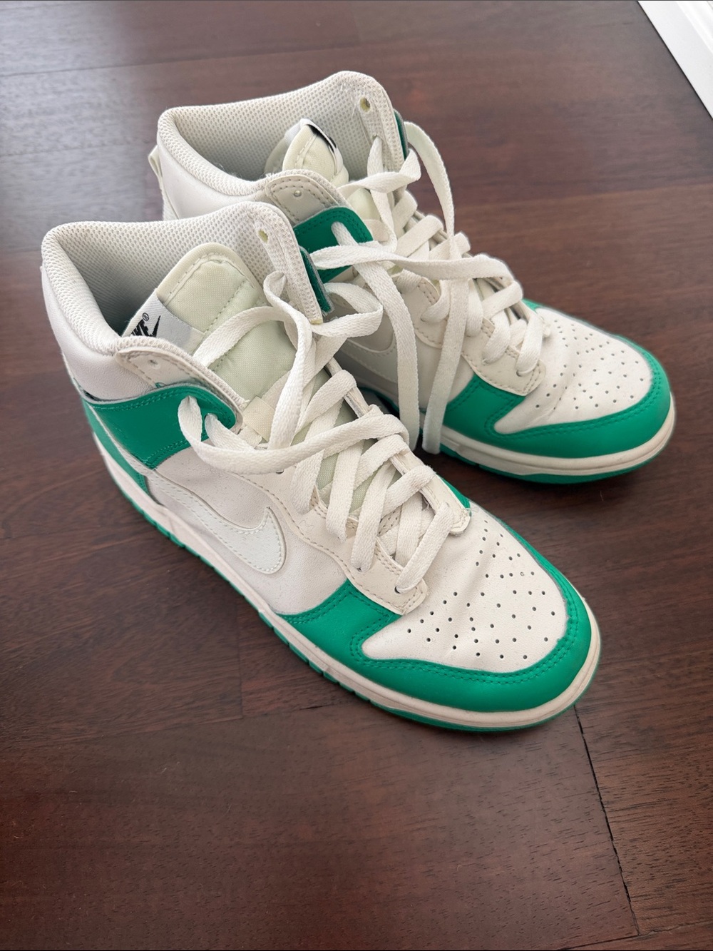Nike High Top Dunks Y 6.5/W 8